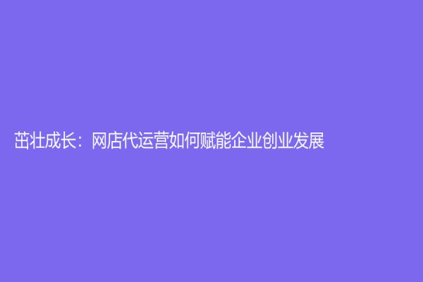 茁壯成長：網店代運營如何賦能企業創業發展