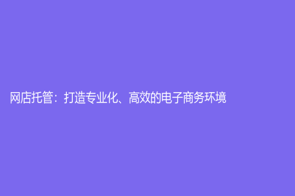 網店托管：打造專業化、高效的電子商務環境