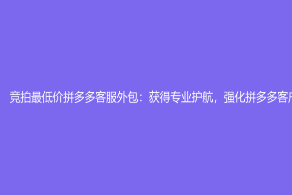 競拍最低價(jià)拼多多客服外包：獲得專業(yè)護(hù)航，強(qiáng)化拼多多客戶體驗(yàn)