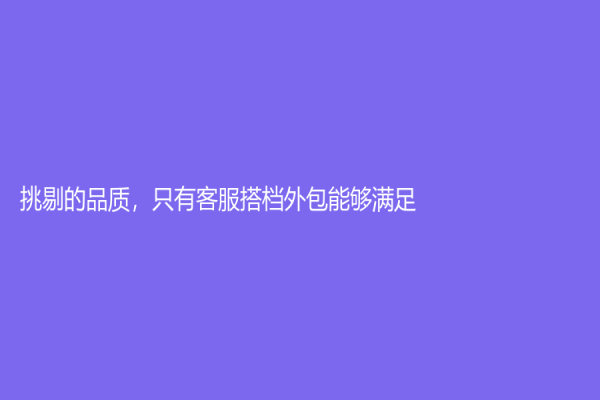 挑剔的品質(zhì)，只有客服搭檔外包能夠滿足！