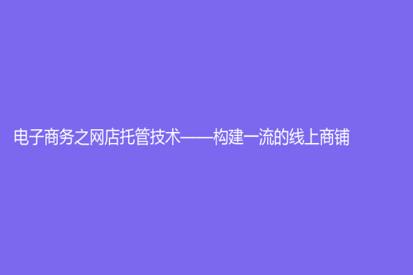 電子商務之網店托管技術——構建一流的線上商鋪