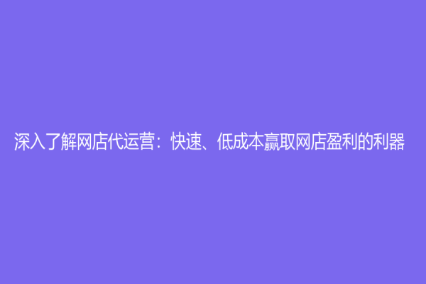 深入了解網店代運營：快速、低成本贏取網店盈利的利器